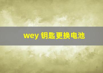 wey 钥匙更换电池